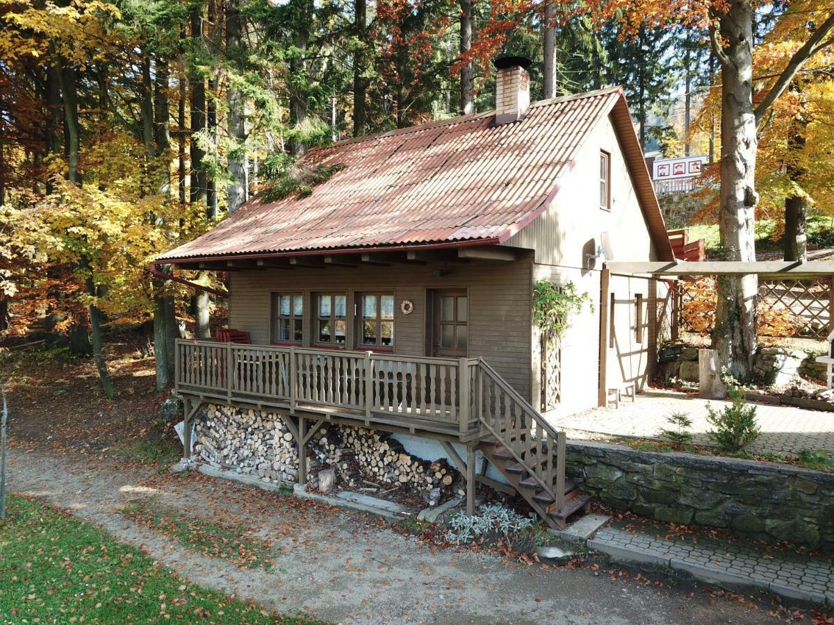 Hotel Jirinka Dolní Morava Exteriör bild